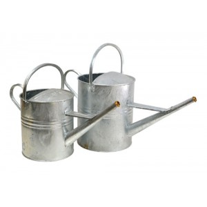 Watering Can Galvanised 2 Gallon