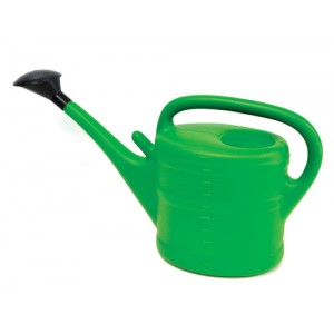 Watering Can c/w Rose